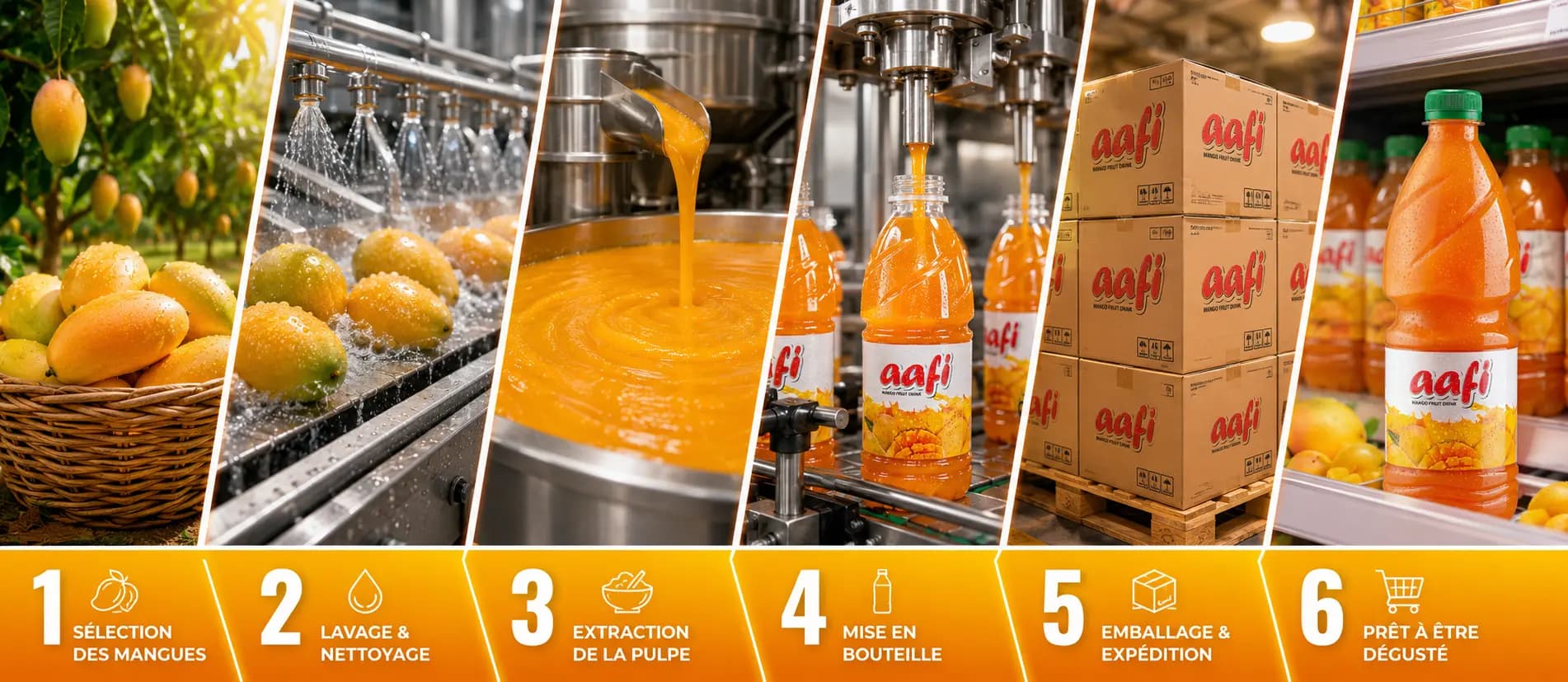Étude de cas AAFI Mango